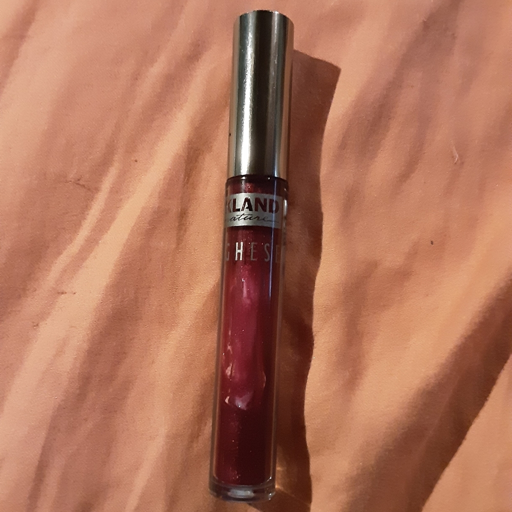 Kirkland signature borghese lip gloss